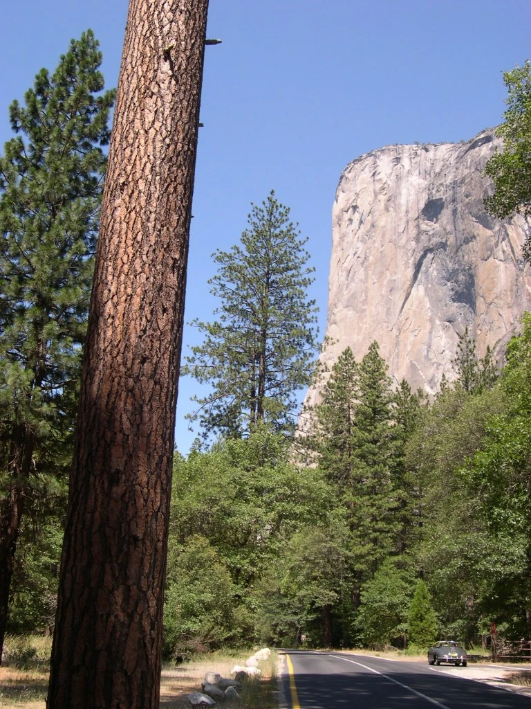 The Roadster contemplates climbing El Capitan.
