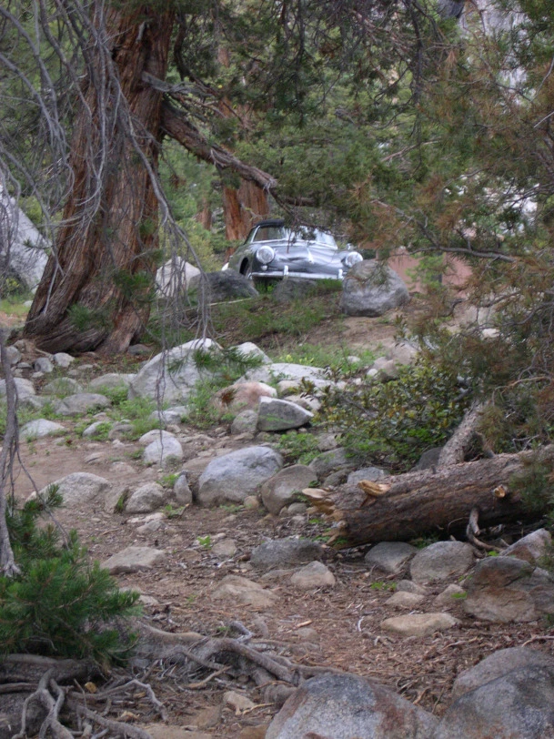 The Roadster peers over a scenic vista.
