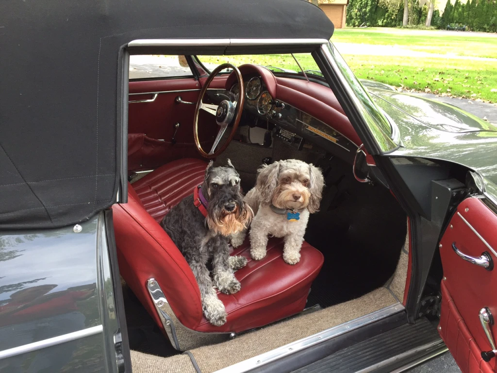Myrtle & Sadie say "Let's Go!" in Diane Burton's '61 T5 Roadster 